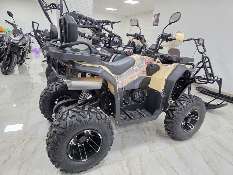 Квадроцикл Rmoto Lion 200 X PRO