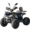 Квадроцикл Rmoto Lion 125 СС