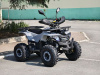 Квадроцикл Rmoto Lion 125 AА