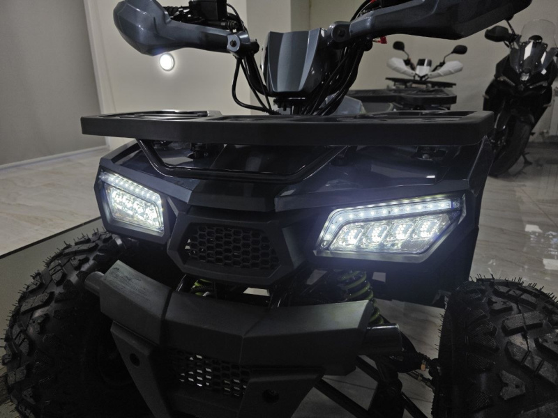 Квадроцикл Motoland WILD 125 