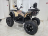 Квадроцикл Rmoto Lion 200 X PRO