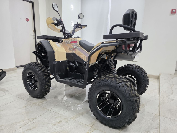 Квадроцикл Rmoto Lion 200 X PRO