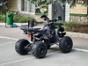 Квадроцикл Rmoto Lion 125 СС