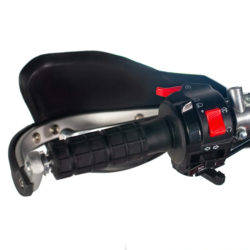 Мотоцикл Regulmoto Holeshot Red Edition (4 valves) ПТС