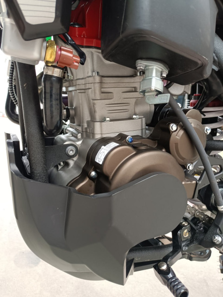 Мотоцикл Regulmoto LEGEND 300
