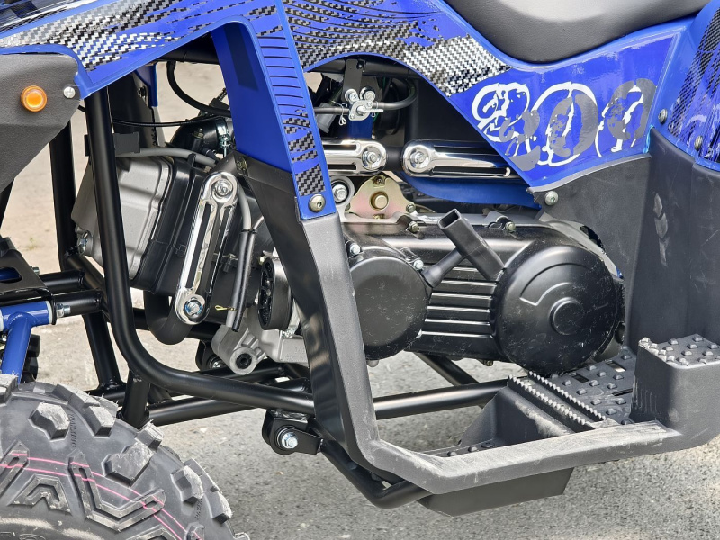 Квадроцикл Rmoto Lion 200 R
