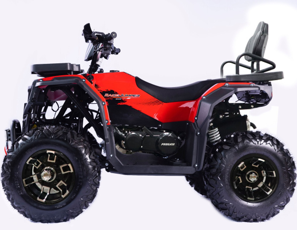 Квадроцикл Progasi Long 250