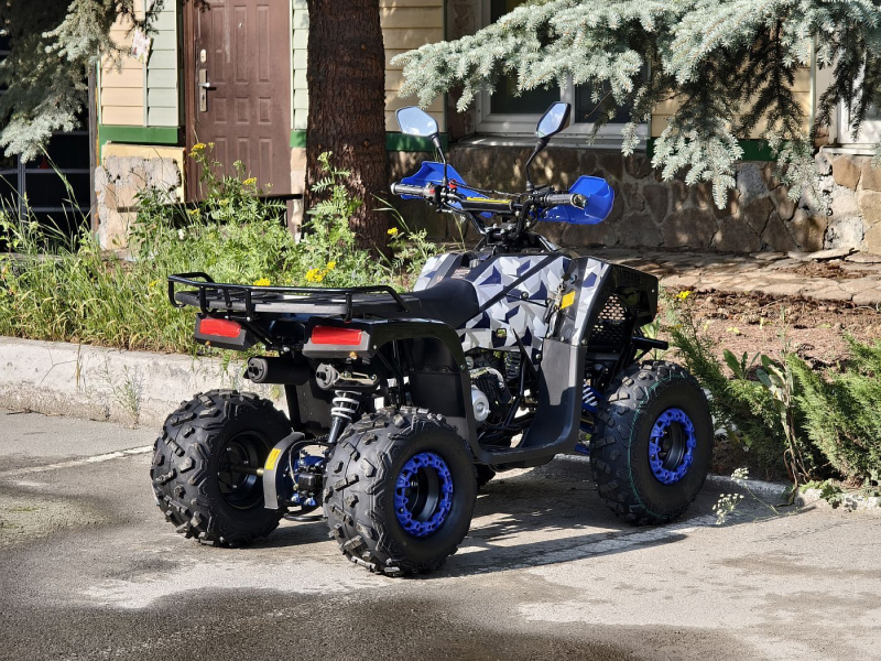 Квадроцикл Rmoto Lion 125 RR