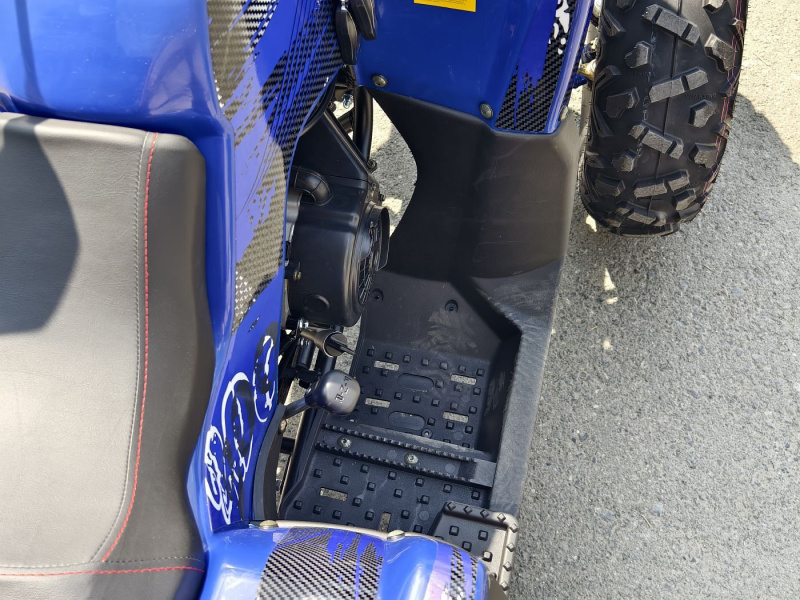 Квадроцикл Rmoto Lion 200 R