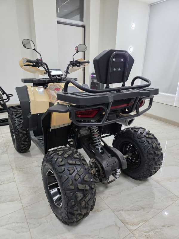 Квадроцикл Rmoto Lion 200 X PRO