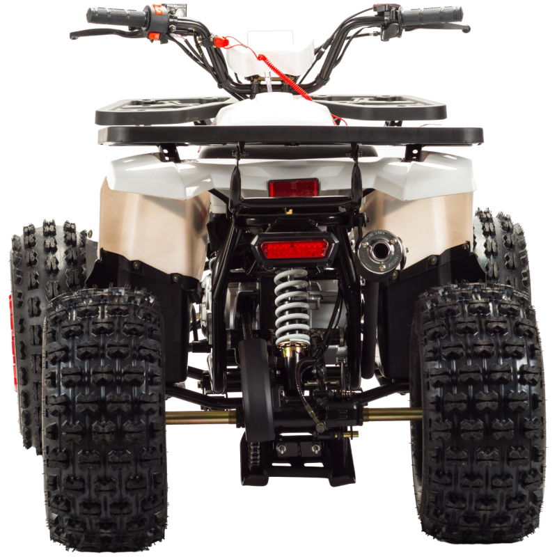 Квадроцикл Motoland WILD 125 