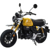 Питбайк Motoland Monkey 150