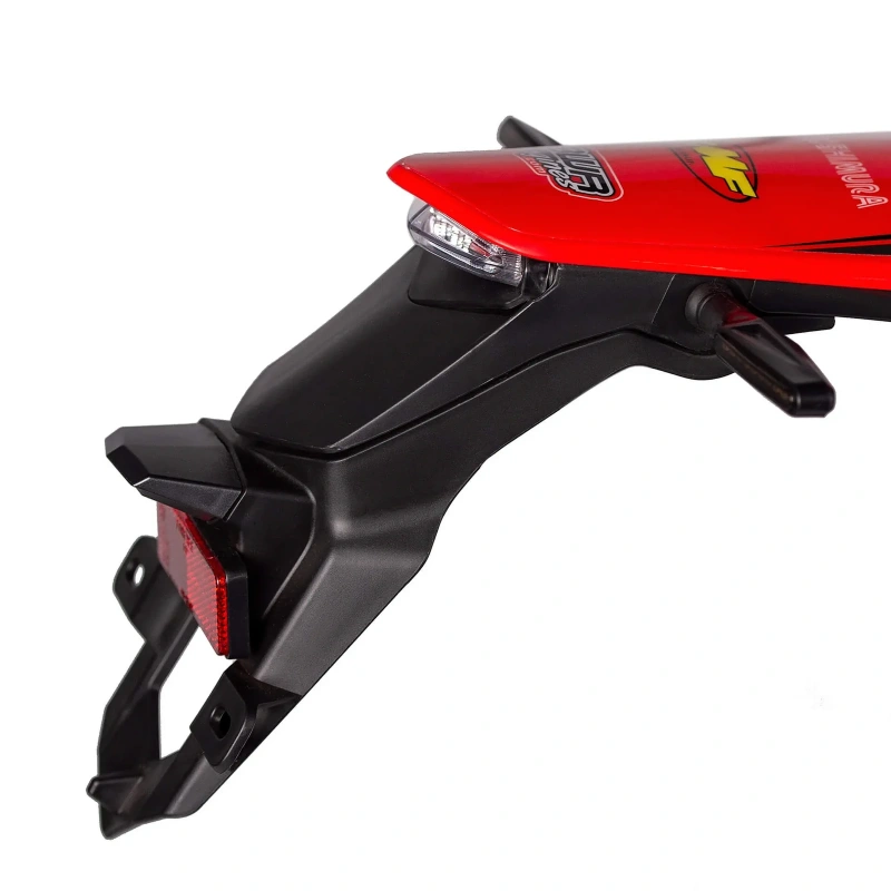 Мотоцикл Regulmoto Holeshot Red Edition (4 valves) ПТС