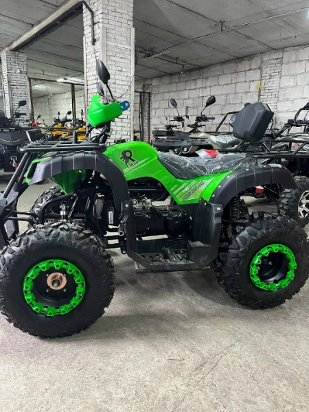 Квадроцикл Rmoto Lion 200 LITE