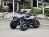 Квадроцикл Rmoto Lion 125 RR
