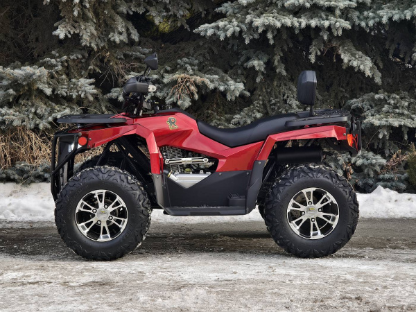 Квадроцикл Rmoto Lion King 200 