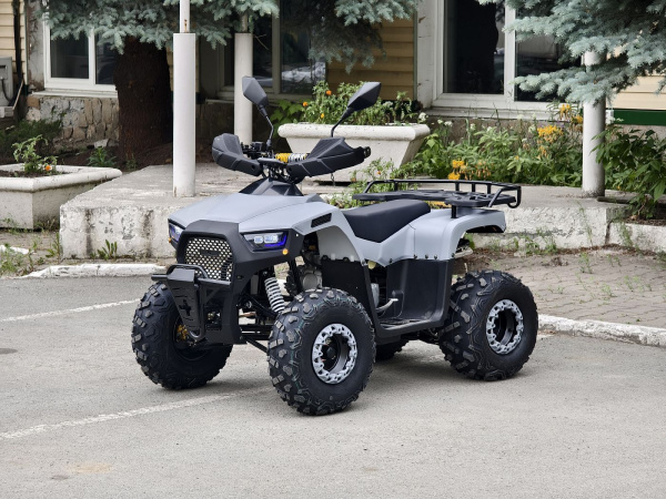 Квадроцикл Rmoto Lion 125 RR
