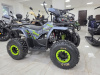 Квадроцикл Motoland WILD 125 