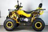 Квадроцикл SPRMOTORS ATV Extreme- 250DQ