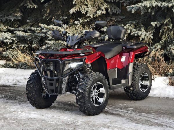 Квадроцикл Rmoto Lion King 200 