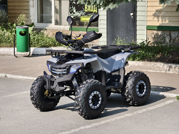 Квадроцикл Rmoto Lion 125 AА