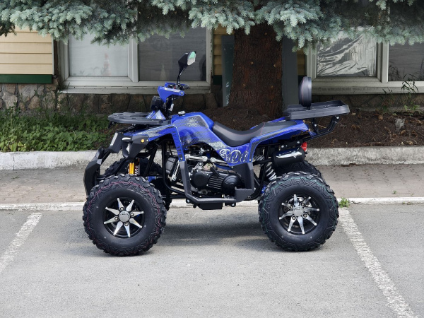 Квадроцикл Rmoto Lion 200 R