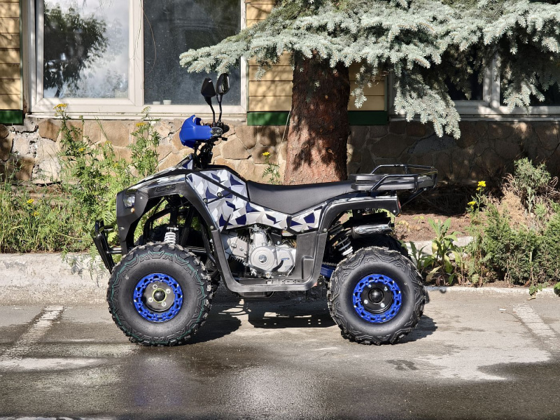 Квадроцикл Rmoto Lion 125 RR