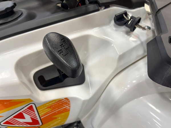 Квадроцикл бензиновый MOTAX GRIZLIK 200 ULTRA BIG 