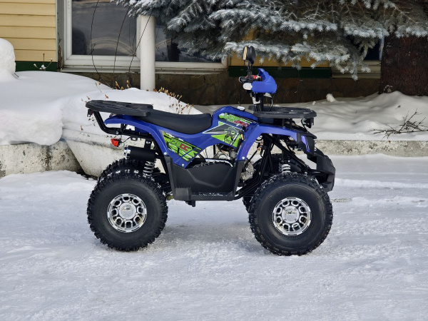 Квадроцикл Rmoto Lion 125 A PRO