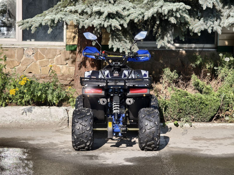 Квадроцикл Rmoto Lion 125 RR