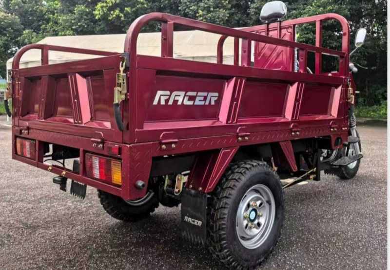 Трицикл Racer RC250ZH Муравей