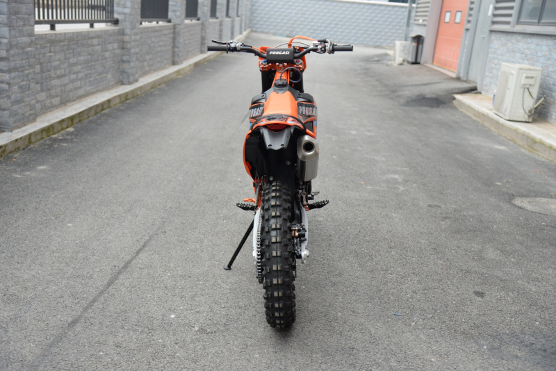 Мотоцикл Progasi Endurance 300 NB300 Carb No Link
