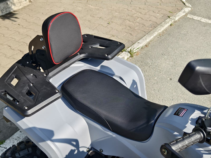 Квадроцикл Rmoto Lion 130 RR