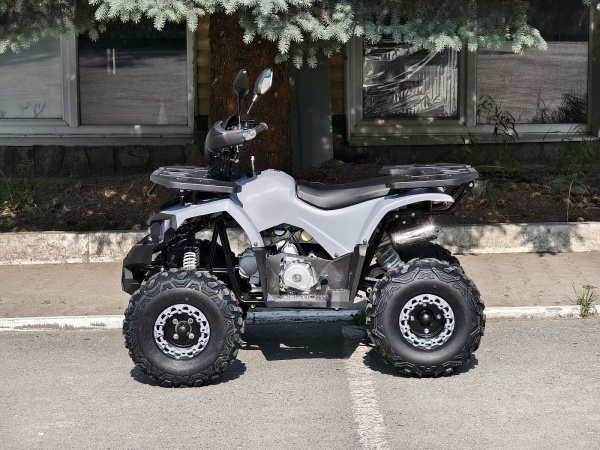 Квадроцикл Rmoto Lion 125 AА