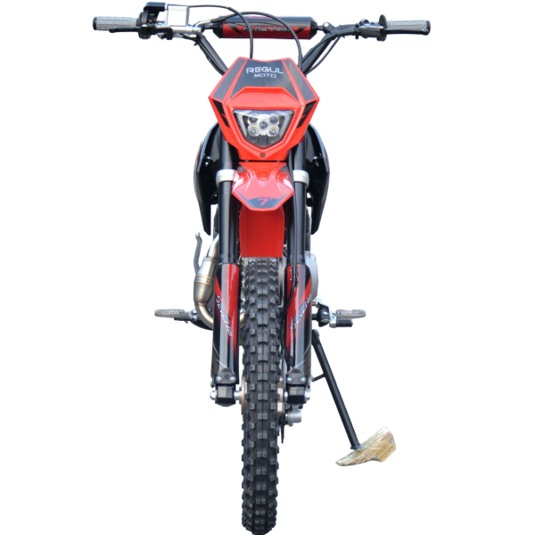Питбайк Regulmoto Seven Medalist Pro 19/16, 140/49 cc