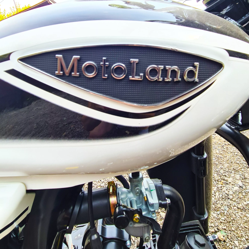 Мопед Motoland Альфа RX LUX 11