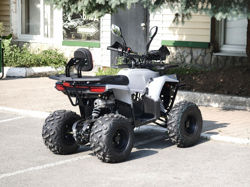 Квадроцикл Rmoto Lion 130 RR