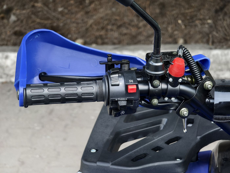 Квадроцикл Rmoto Lion 200 R