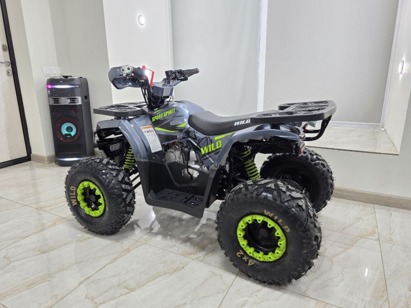Квадроцикл Motoland WILD 125 