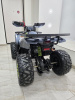 Квадроцикл Motoland WILD 125 
