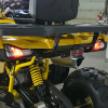 Квадроцикл Motoland VOX200 WILD TRACK X WINCH (баланс. вал)