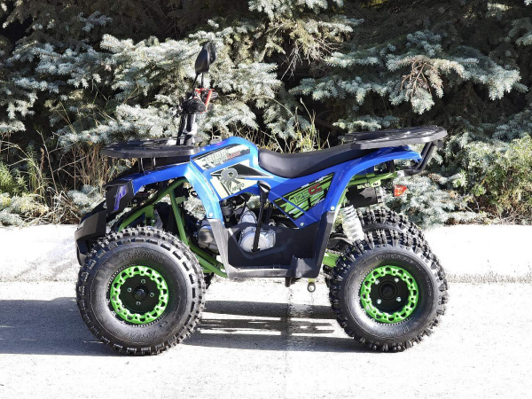 Квадроцикл Rmoto Lion 125 A LITE