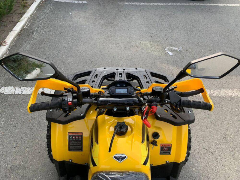 Квадроцикл Rmoto Lion 125 AR
