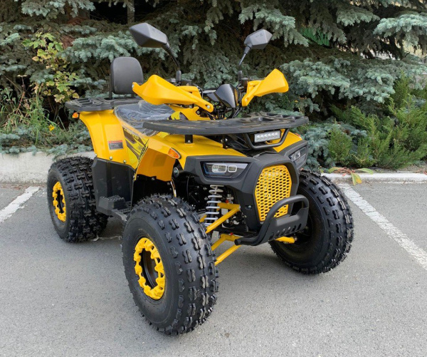 Квадроцикл Rmoto Lion 125 AR