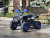 Квадроцикл Rmoto Lion 125 RR