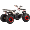 Квадроцикл Motoland WILD 125 