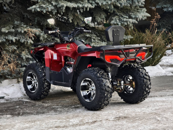 Квадроцикл Rmoto Lion King 200 