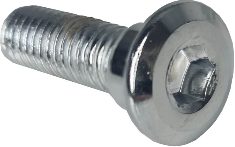 Болт тормозного диска M8 L25mm (1 шт)