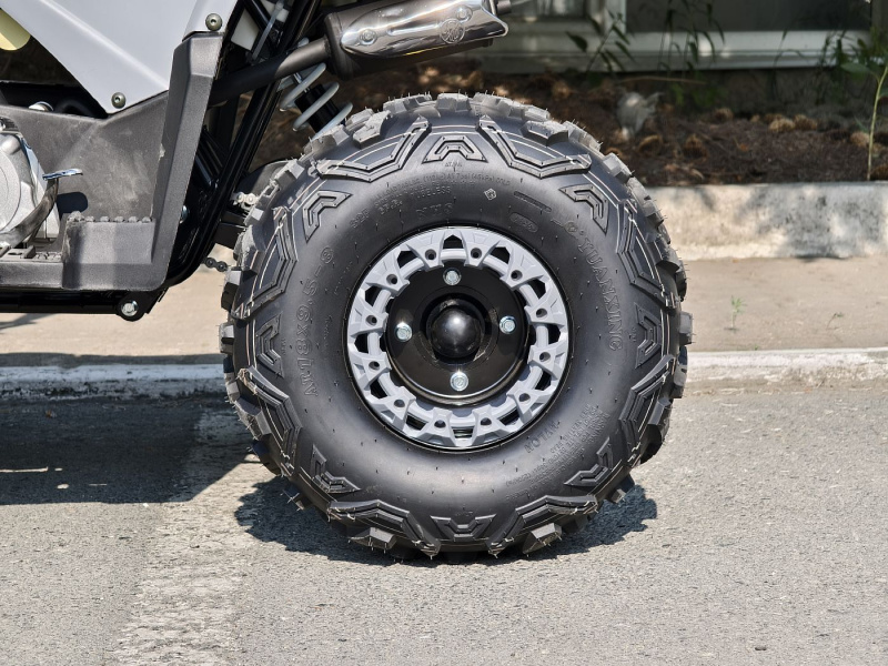 Квадроцикл Rmoto Lion 125 AА