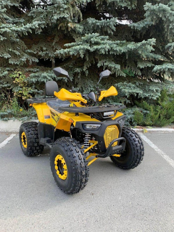 Квадроцикл Rmoto Lion 125 AR